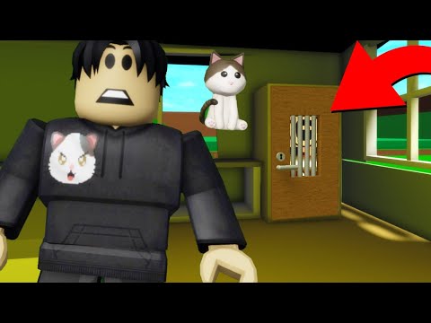 Investigating the SECRET AGENCY HIDEOUT in Roblox BrookHaven 🏡RP