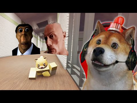 KEJAR – KEJARAN LAGI DENGAN KEPALA GEPENG! – Roblox Evade Indonesia