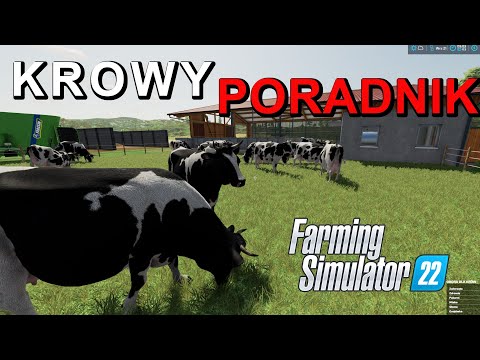 Krowy 🐄🐄🐮, obornik  💩💩 Poradnik Farming Simulator 2022