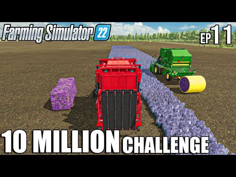 LAVENDER Harvest and LOAD with CASE and JOHN DEERE | 10 Million CHALLENGE | Farming Simulator 22