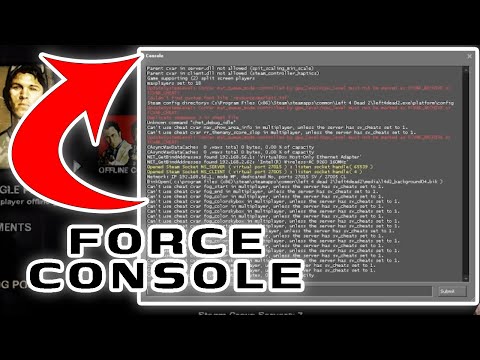 Left 4 Dead 2 – Fix Console Not Opening