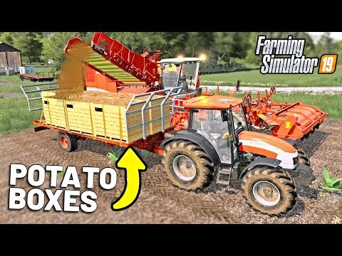 LOADING POTATO BOXES – Shamrock Valley 19 – Farming Simulator 2019