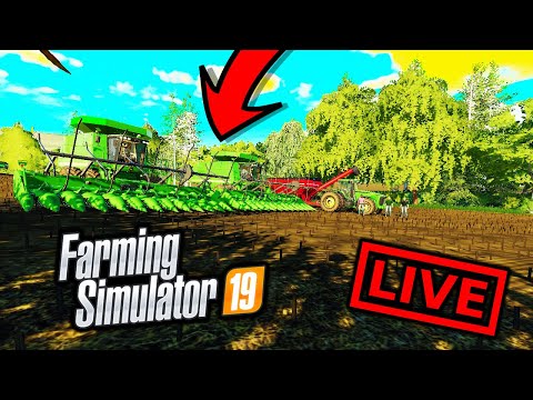 LOOK WHAT WE'VE GOT. A CORN REEL IN FARMING SIMULATOR 2019