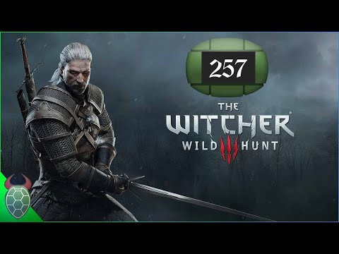LP The Witcher 3 Wild Hunt Folge 257 Da läuft man jeden übern weg [Deutsch]