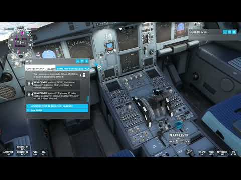 Microsoft flight simulator