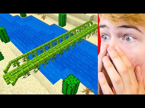 MINECRAFT LIFEHACKS Die ECHT WERKEN! (TIKTOK LIFEHACKS)