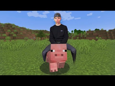 Minecraft sangen