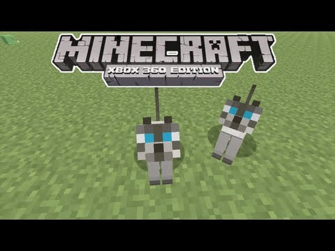 Minecraft Xbox 360 – How to Tame OCELOTS/CATS (Title Update 12)