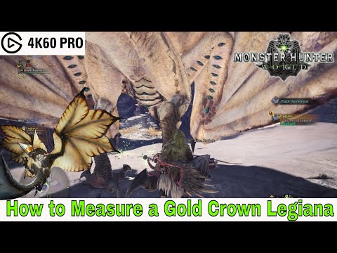 Monster Hunter: World – How to Measure a Gold Crown Legiana