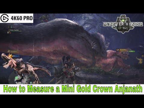 Monster Hunter: World – How to Measure a Mini Gold Crown Anjanath