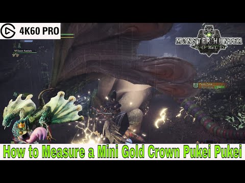 Monster Hunter: World – How to Measure a Mini Gold Crown Pukei Pukei