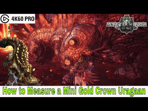 Monster Hunter: World – How to Measure a Mini Gold Crown Uragaan