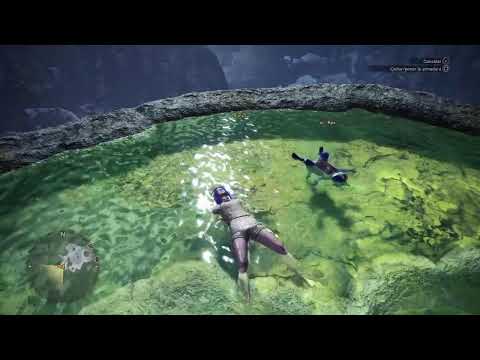 Monster Hunter World Iceborn PS4 2022 – sacando armas 21