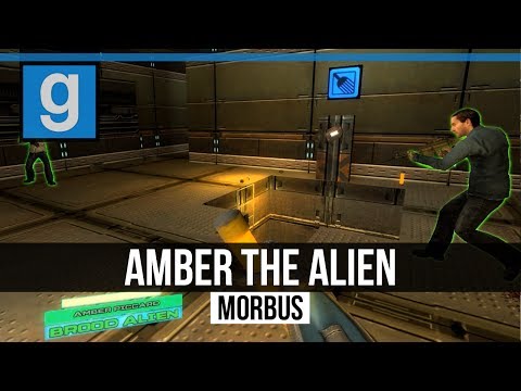 Morbus (Gary's Mod) :: Amber The Alien