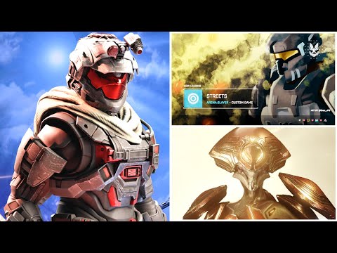 NEW Halo Infinite Campaign DLC, Battle Royale & Halo Insider NEWS – Falcon Potentially Returns.