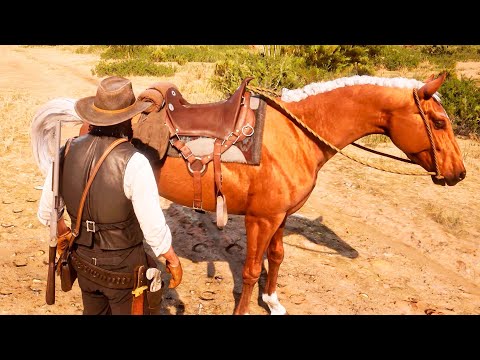 NUNCA MOLESTES A UN CABALLO | RED DEAD REDEMPTION 2