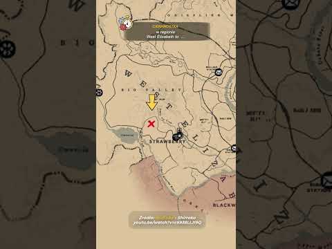 PODRÓŻNIK w CZASIE – RED DEAD REDEMPTION 2 #shorts