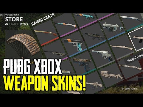 PUBG Xbox Weapon Skins, G-Coin and PTS Info! (Playerunknown's Battlegrounds)