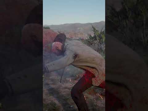Red Dead Redemption 2 _ head shot ( brutal kill / slow )