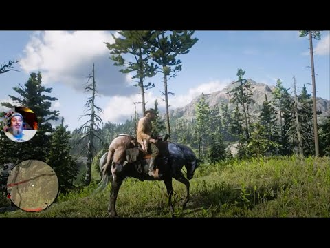 Red Dead Redemption 2 – Rockstar Games – Ep#15