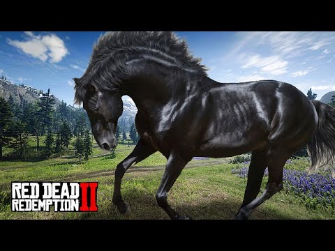 RESGATANDO O CORCEL NEGRO – Red Dead Redemption 2