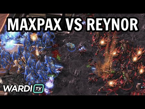 Reynor vs MaxPax (ZvP) – PLAYOFFS WardiTV Summer Championship 2022 [StarCraft 2]