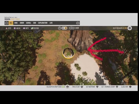 RIDERS REPUBLIC Tree house location