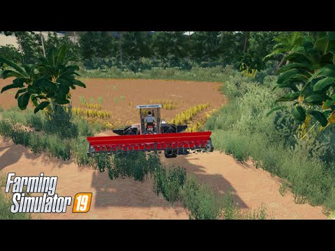 Rotativando #28 Farming Simulator 2019 Timelapse
