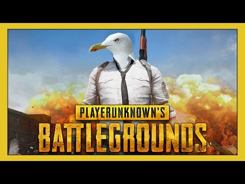 Seagull Playing PlayerUnknown's Battlegrounds