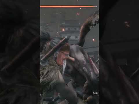 Sekiro Shadow Die Twice "Shinobi Execution" (sekiro)