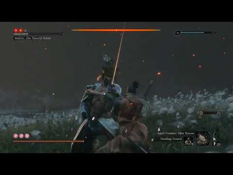 Sekiro: Shadows Die Twice (Final Fight)