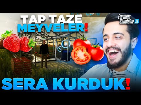 SONUNDA SERA KURDUK! TAPTAZE MEYVELER YETİŞTİRİYORUZ! Farming Simulatör #32