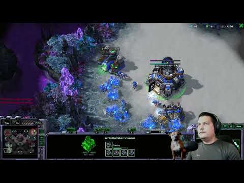 StarCraft 2  Play by Play Games