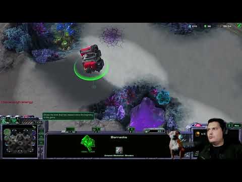StarCraft 2 Terran vs Zerg  Planetary fortresses