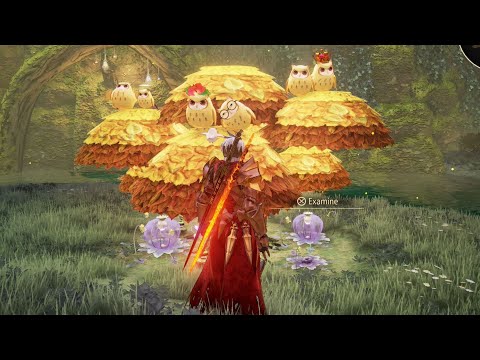 Tales of Arise – Menancia Owls