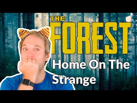 The Forest (Part 6) – Building A Second Base