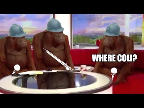 The Foxhole Experience – Apes Together Strong