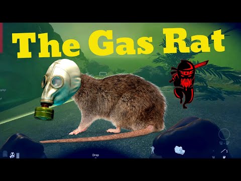 The Rat Gas Play | Call of Duty Warzone