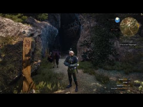 The Witcher 3: Wild Hunt #131 Novigrad, die gesperrte Stadt II & Auge um Auge 1/2
