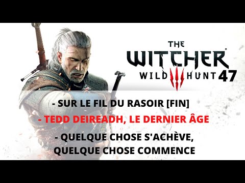 The Witcher 3 Wild Hunt 47