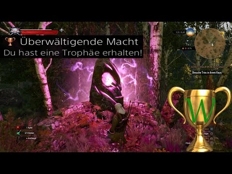 The Witcher 3 Wild Hunt Erfolg / Trophäe "Überwältigende Macht",  Alle Orte der Macht gleichzeitig