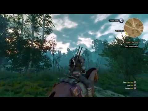 The Witcher 3: Wild Hunt PS4