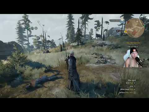 The Witcher 3 Wild Hunt pt.33