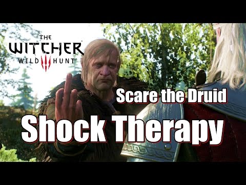 The Witcher 3 Wild Hunt Shock Therapy – Scare the Druid