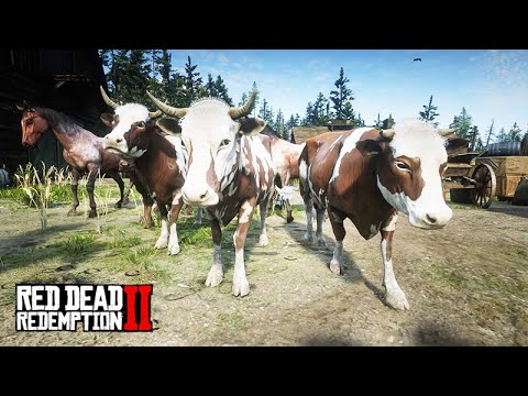 TOCANDO A BOIADA DOS BANDIDOS – Red Dead Redemption 2