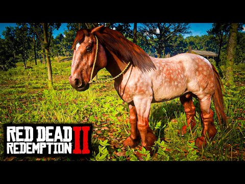 TODOS OS RARÍSSIMOS CAVALOS DOS ESTÁBULOS – RED DEAD REDEMPTION 2