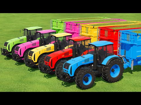 TRANSPORT, HARVEST & LOAD CORN FORAGE WITH MT3 BELARUS TRACTORS – Farming Simulator 22