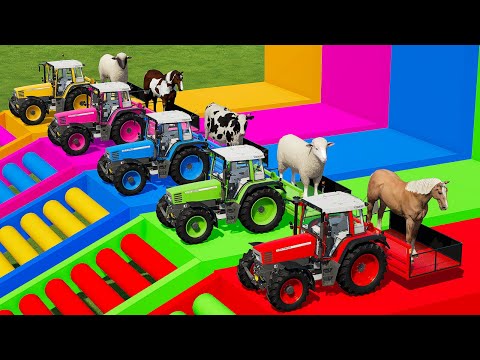TRANSPORTING ANIMALS WITH COLORED FENDT TRACTORS & MAN TRUCKS – Farming Simulator 22