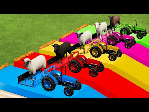 TRANSPORTING SHEEPS WITH UNIVERSAL COLORED TRACTORS & FORD TRUCKS – Farming Simulator 22