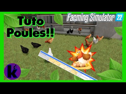 Tuto farming simulator 2022 Les poules!🐔😲 Astuces sur les poules, guide nourriture et production!🤗